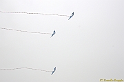 Cervia Cup - Euro Cup 2013 - 226
